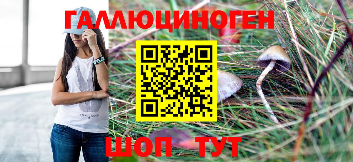 Псилоцибиновые грибы Psilocybine cubensis Верхняя Салда